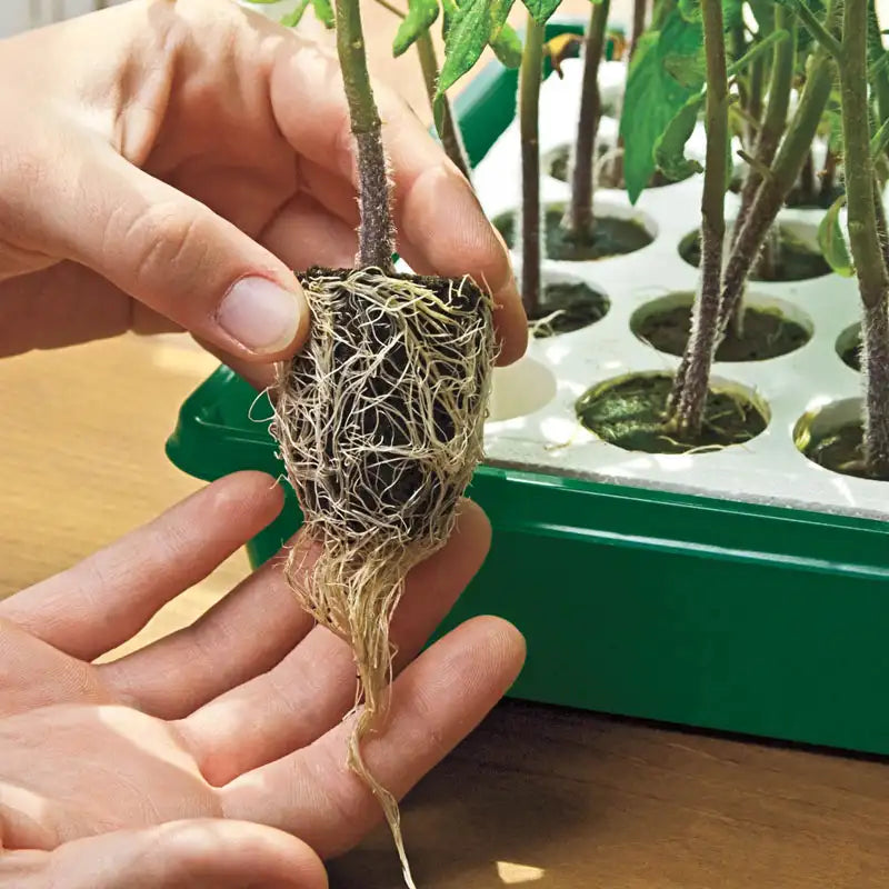 Seed Starting Supplies