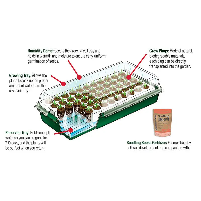 Seed Starting Supplies