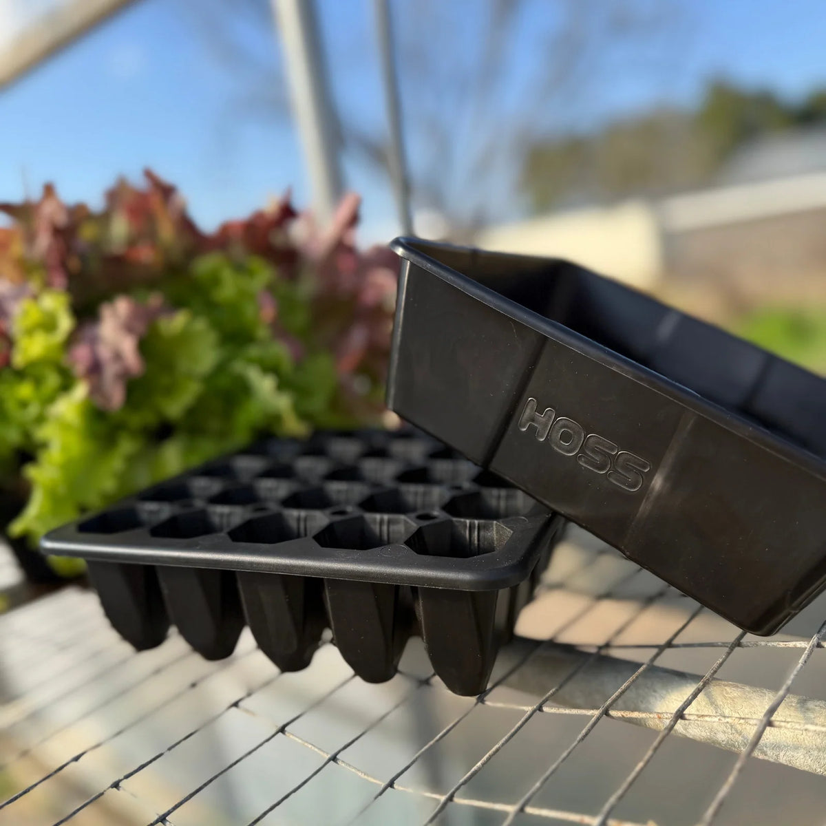 Seed Starting Tray