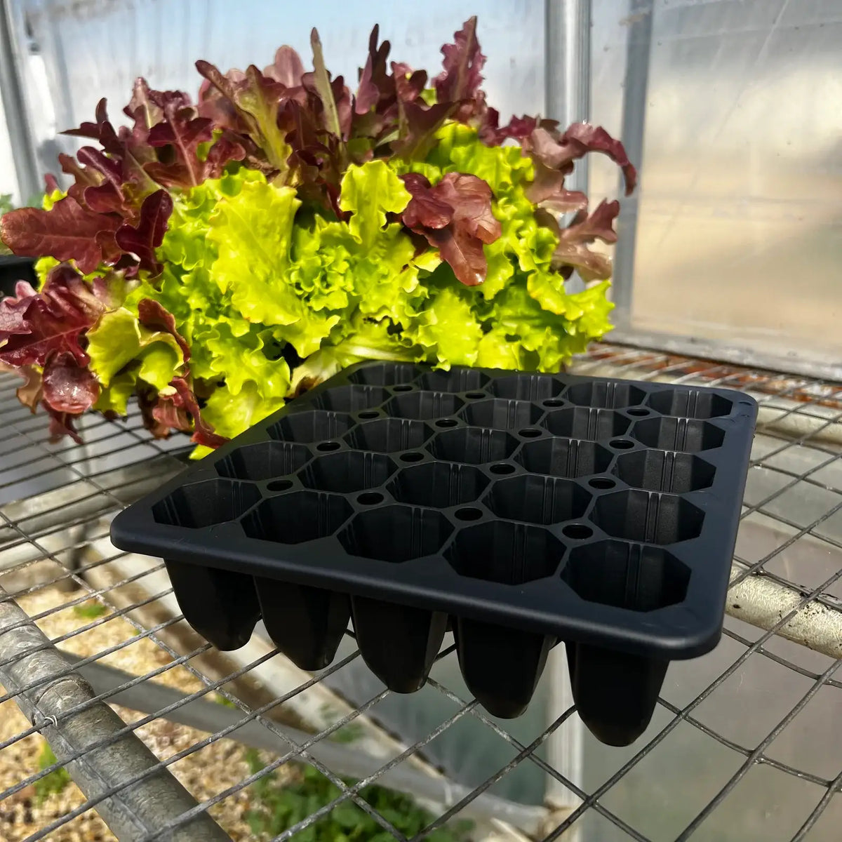 Seed Starting Tray
