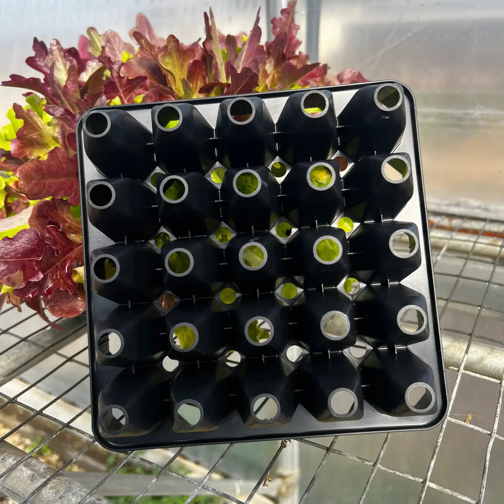 Seed Starting Tray