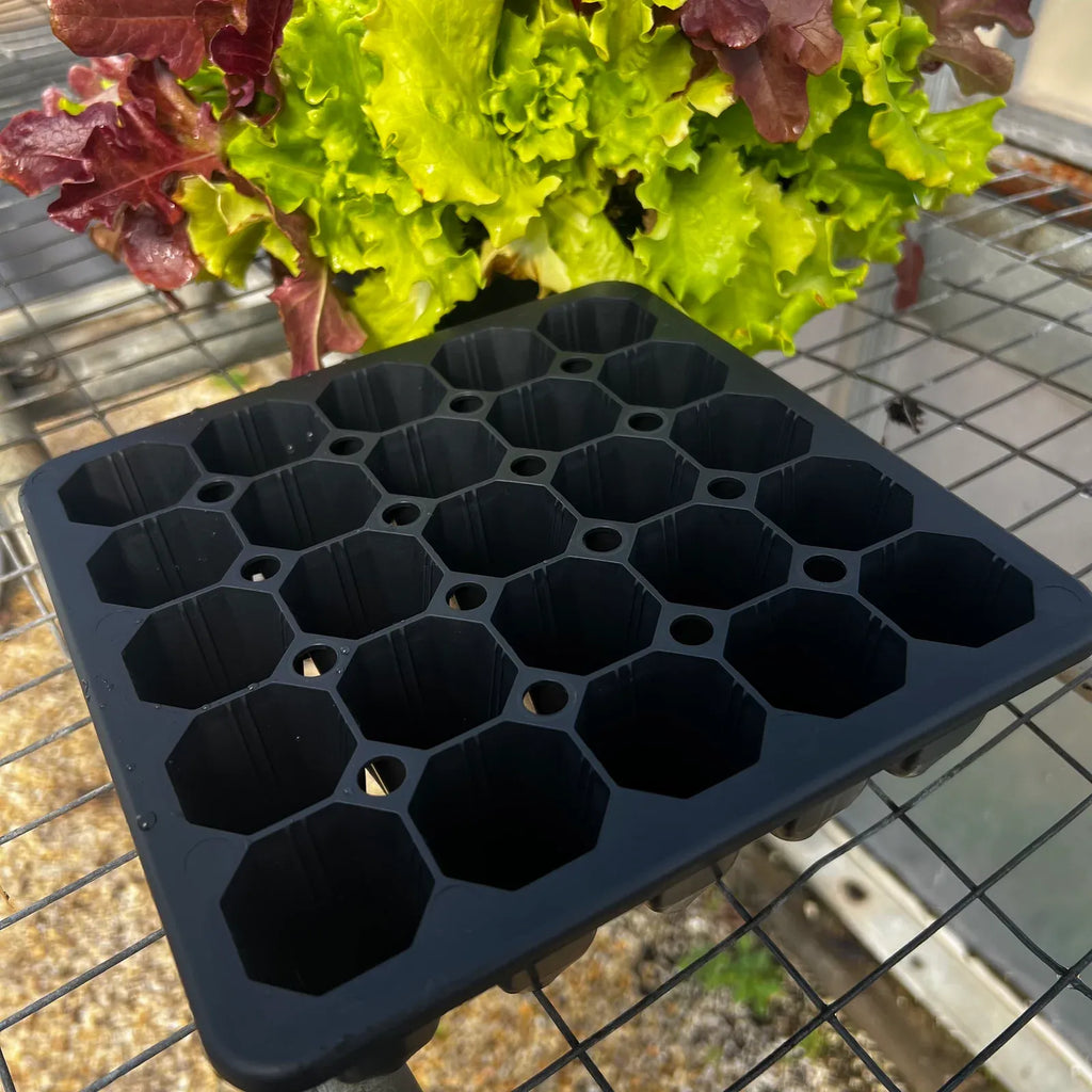 Seed Starting Tray