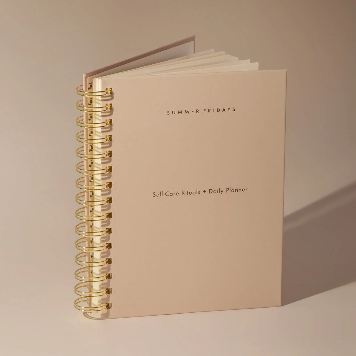 Self-Care Daily Planner with 200 Undated Daily Entries for Planning, Reflection and Gratitude