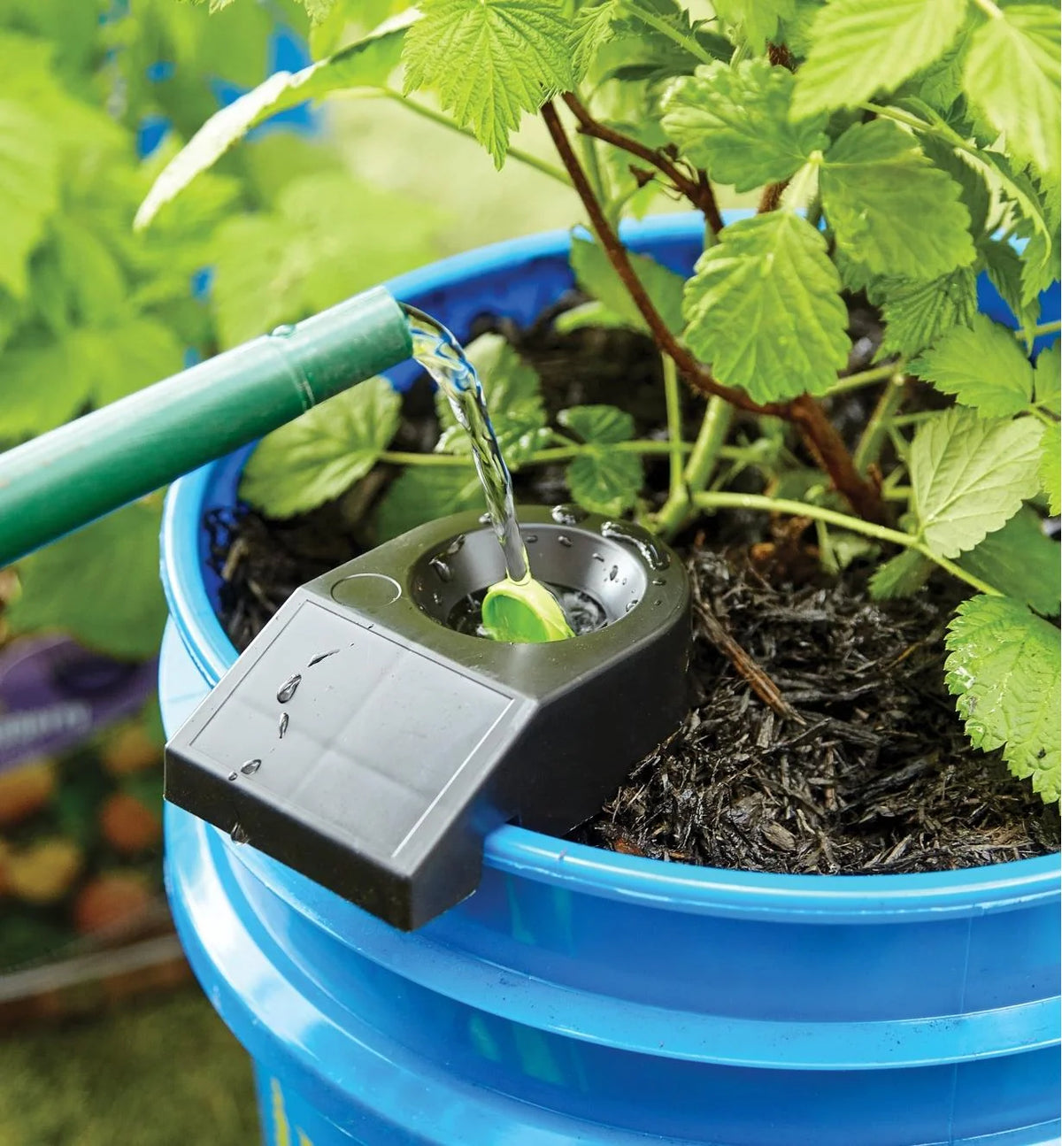 Self-Watering Planter Insert 3 Pack for Bucket Container Gardens, Portable Indoor or Outdoor Space-Saving Setup