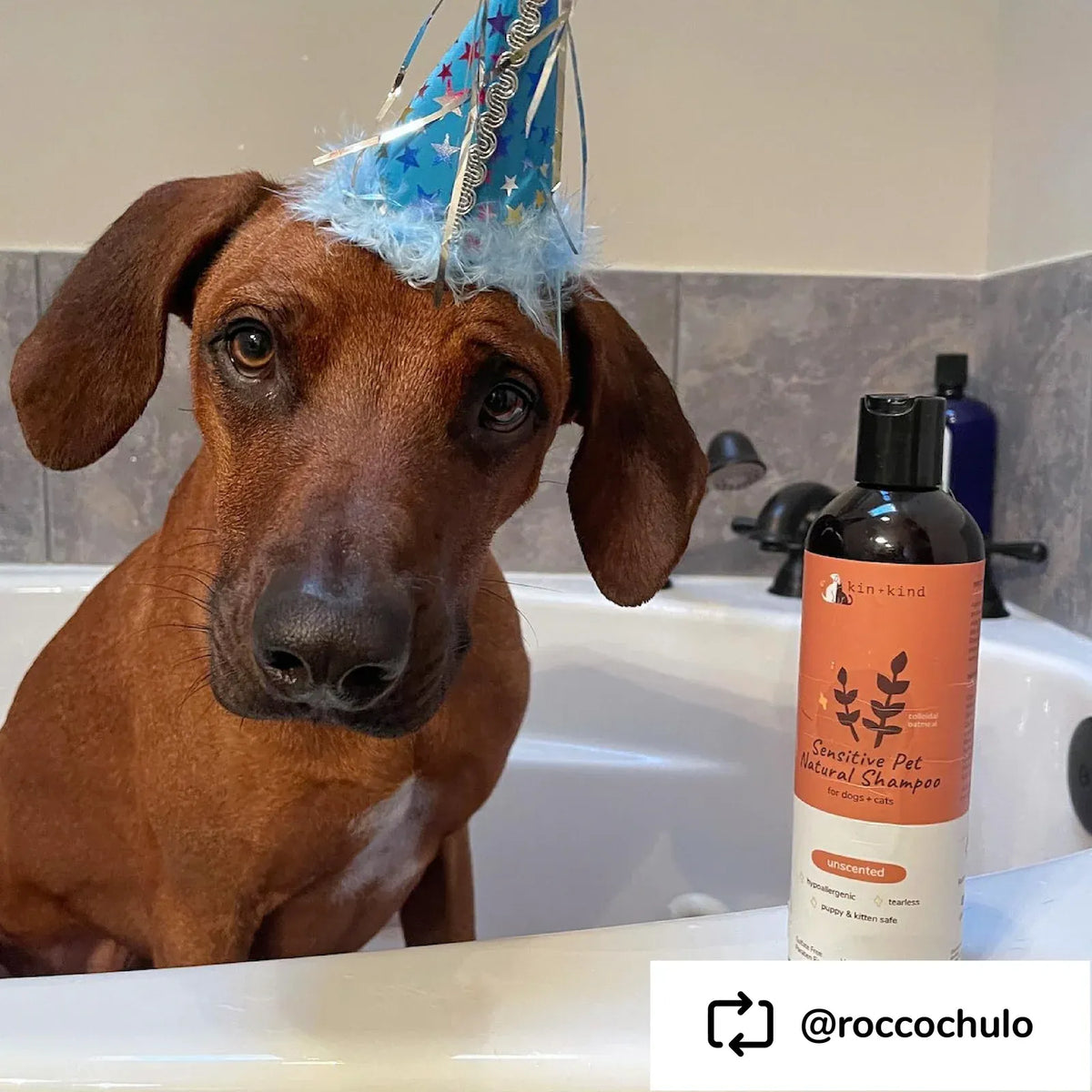 Sensitive Skin Oatmeal Shampoo