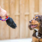 Sheepskin Dog Tug Toy