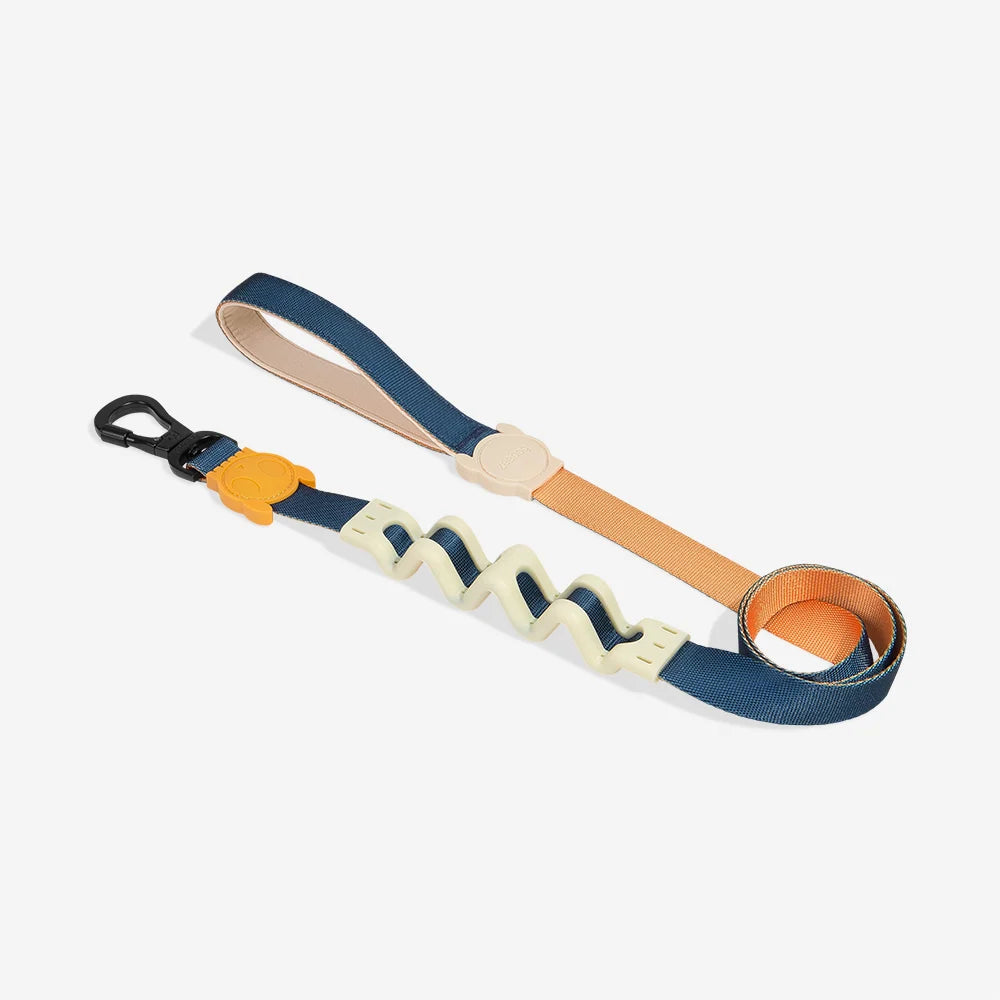 Shock Absorbing Dog Leash