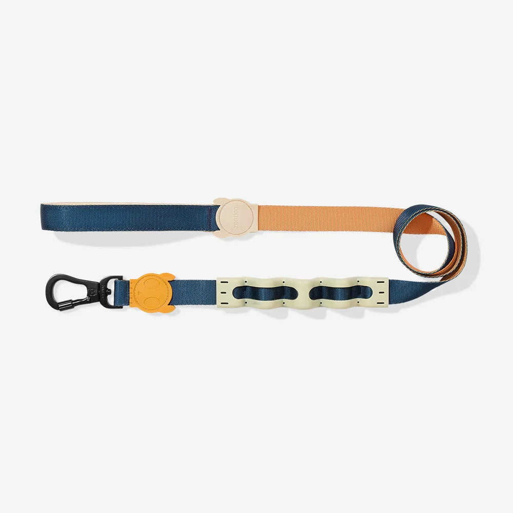 Shock Absorbing Dog Leash