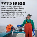 Short-Stick Cod Skin Dog Treats