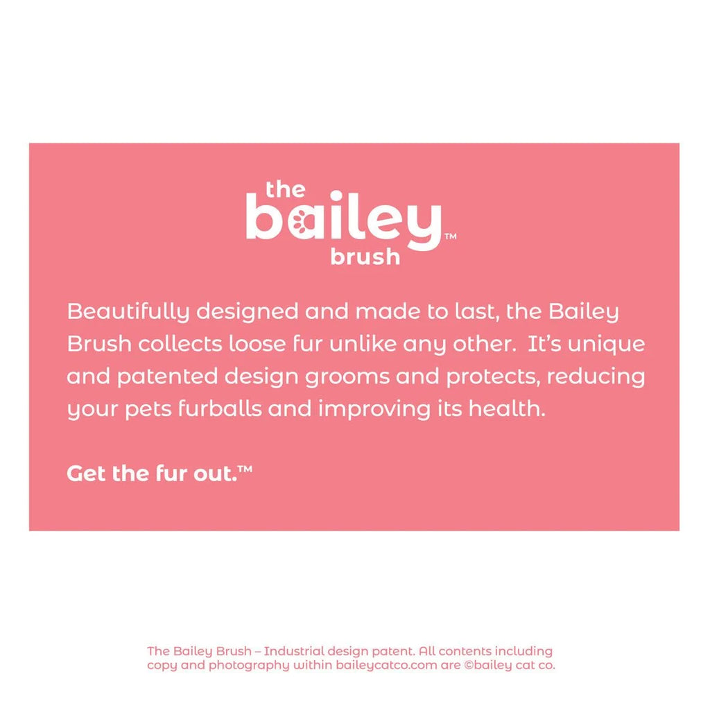 Silicone Cat Brush
