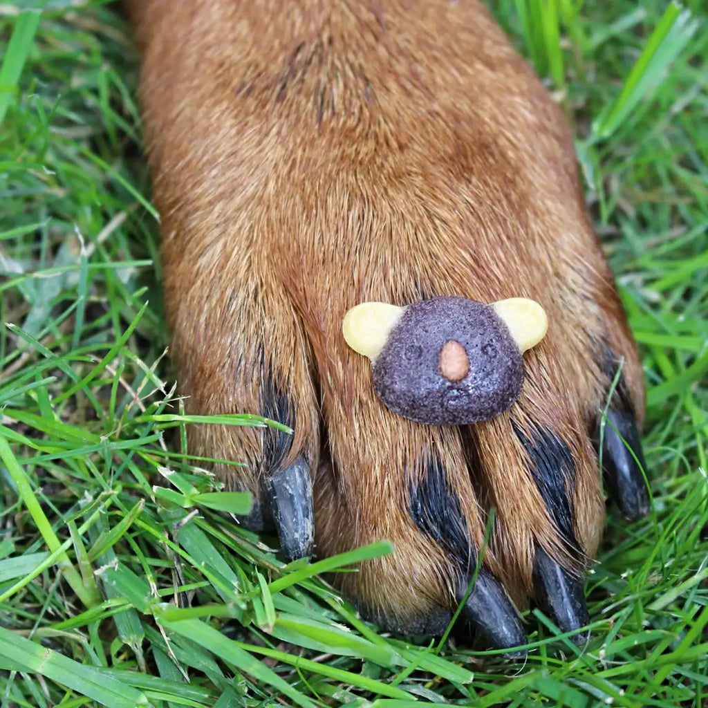 Silicone Dog Treat Baking Mold
