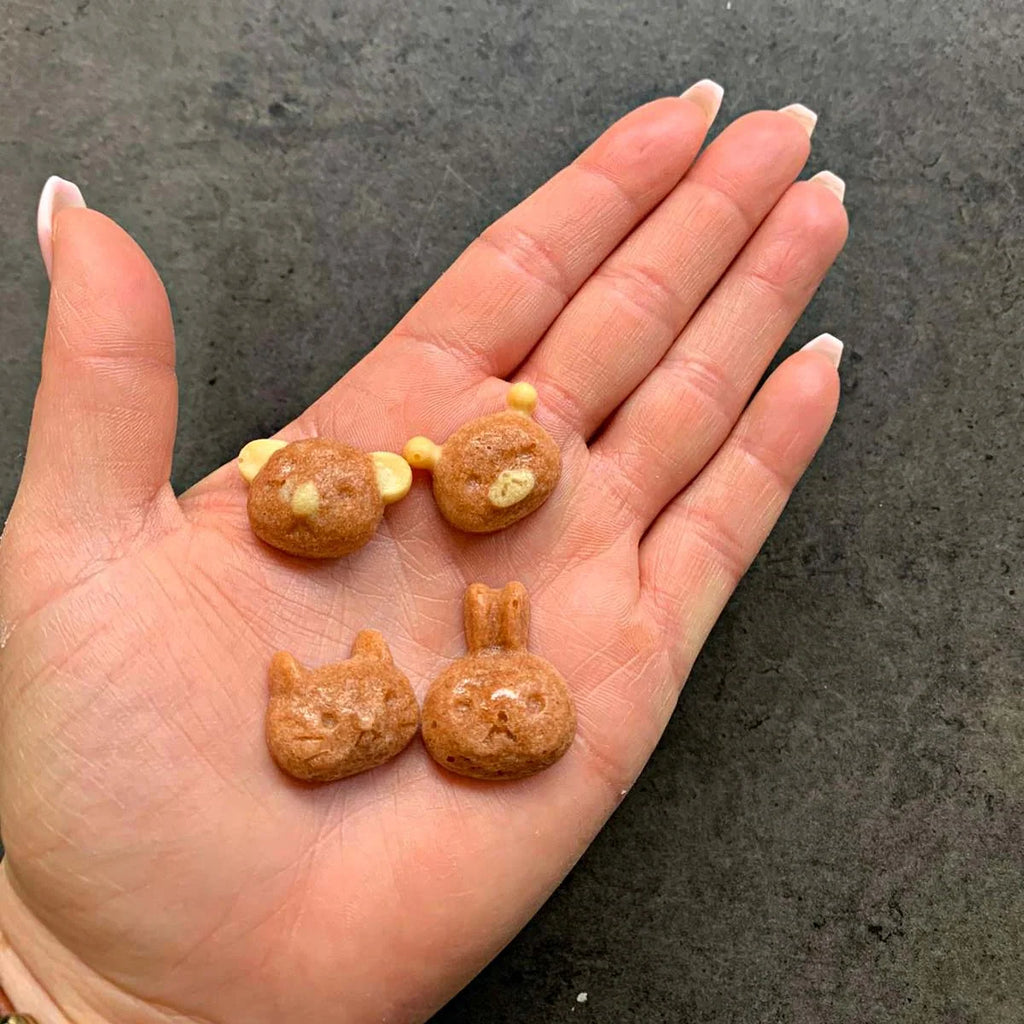 Silicone Dog Treat Baking Mold