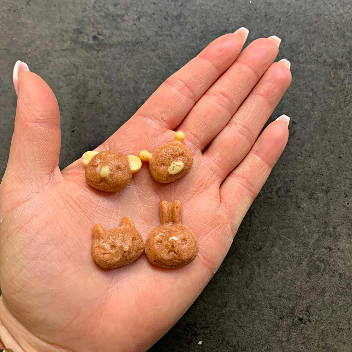 Silicone Dog Treat Baking Mold