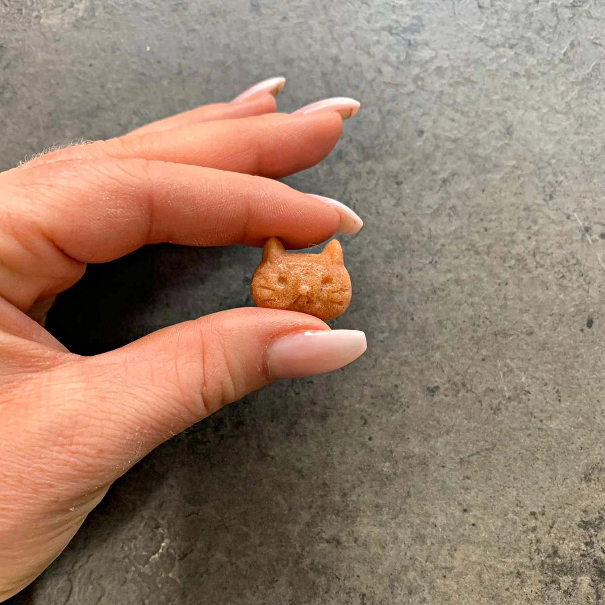 Silicone Dog Treat Baking Mold