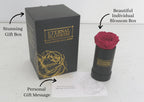 Single Infinity Rose in a Black Display Box