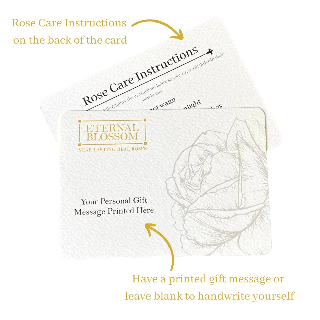 Single Infinity Rose in a Black Display Box