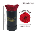 Single Infinity Rose in a Black Display Box