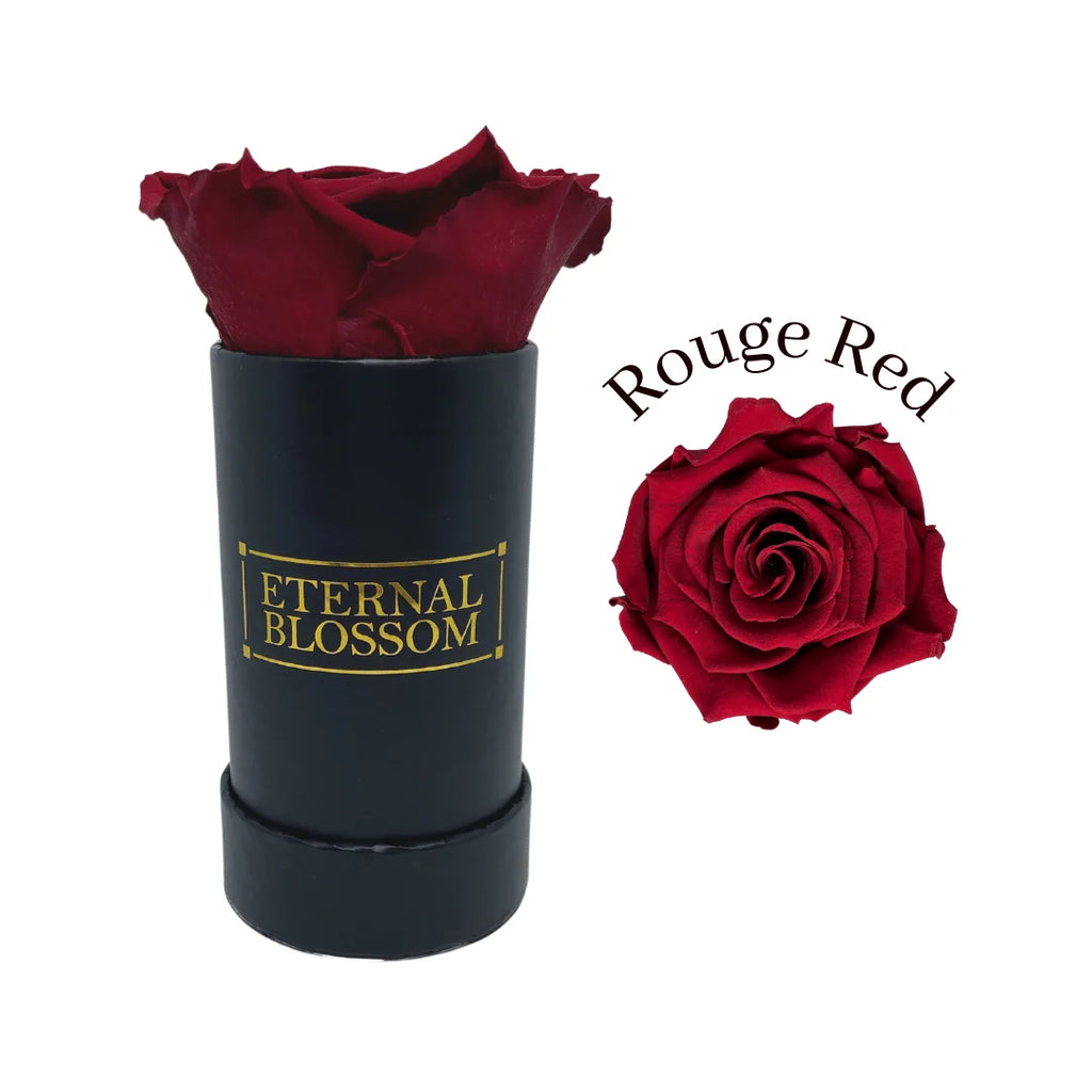 Single Infinity Rose in a Black Display Box