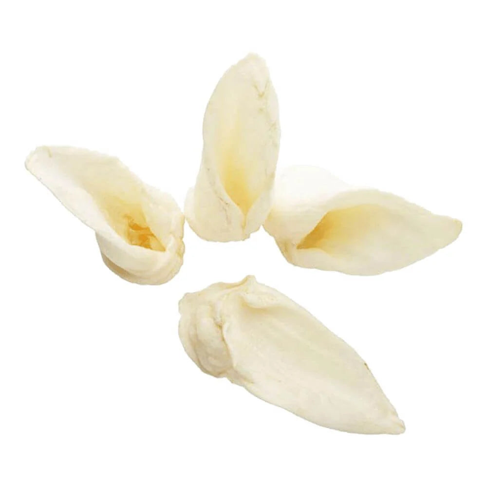 Single-Ingredient Lamb Ear Dog Chews in a Case of 50, Naturally