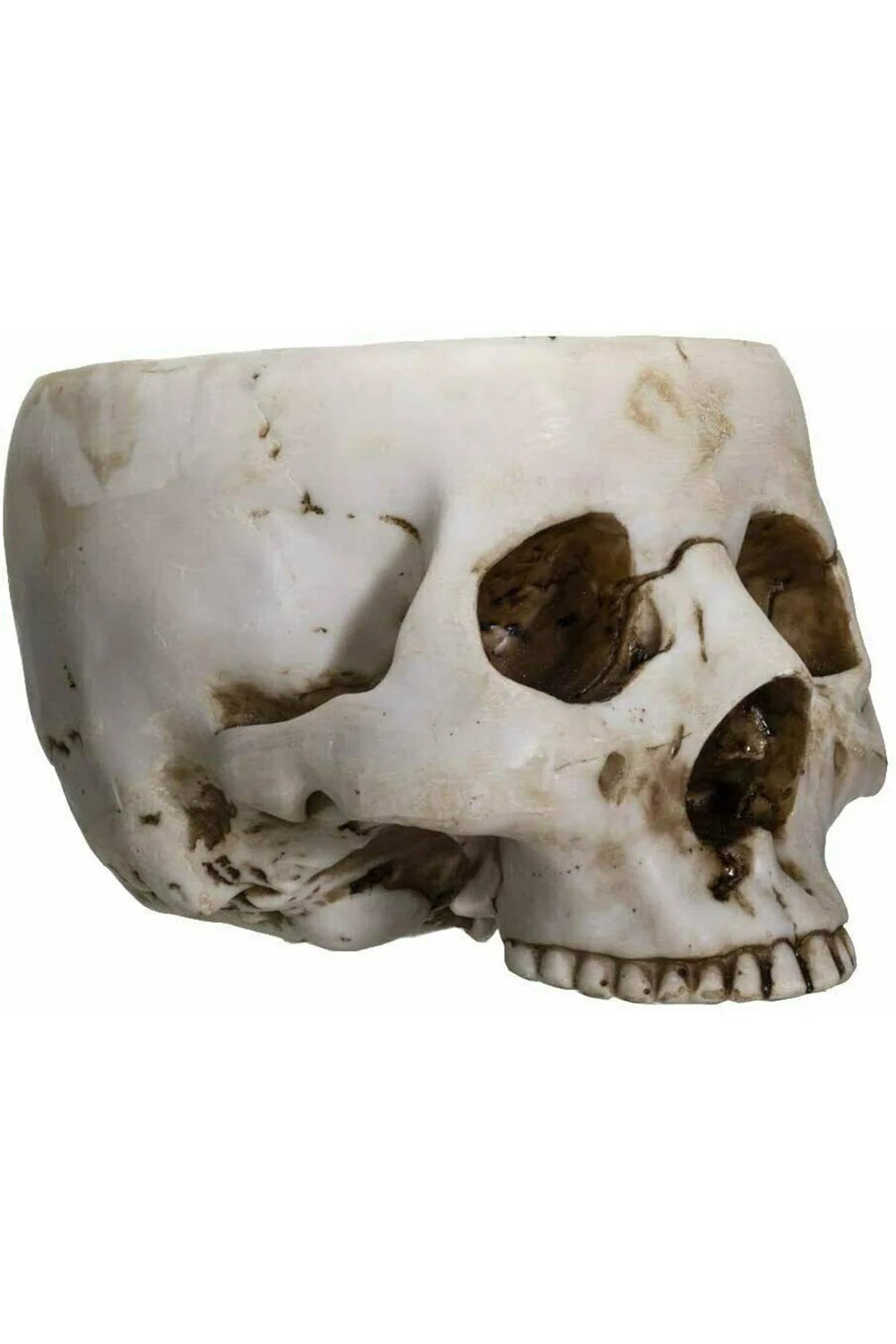 Skull Bowl