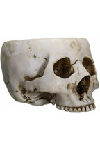 Skull Bowl