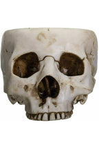 Skull Bowl