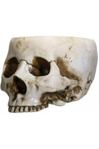 Skull Bowl