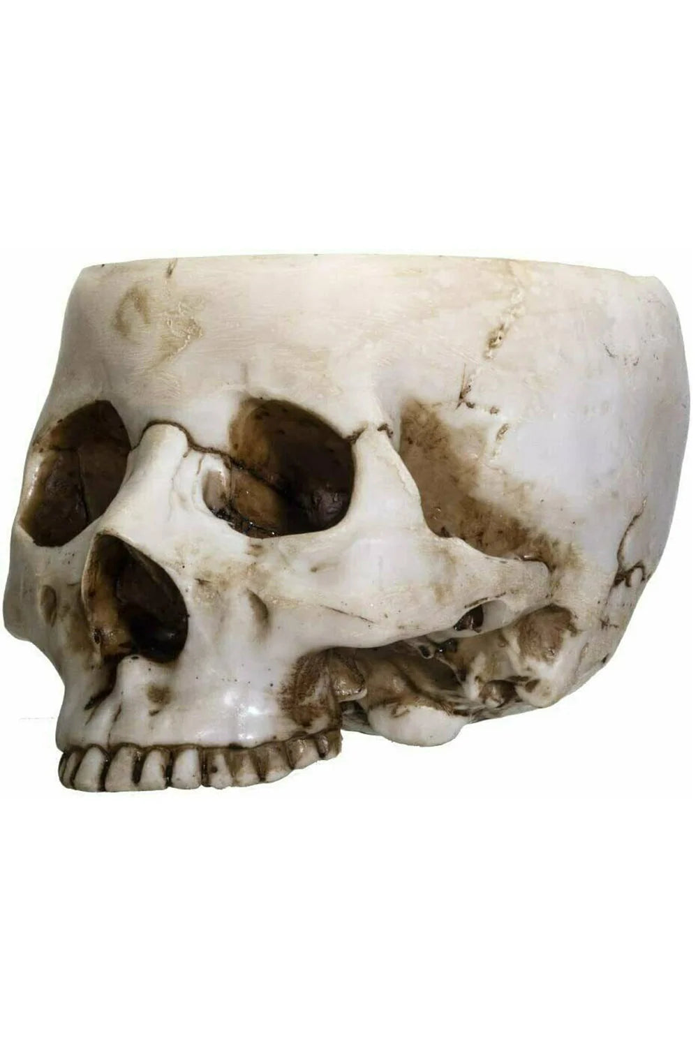 Skull Bowl
