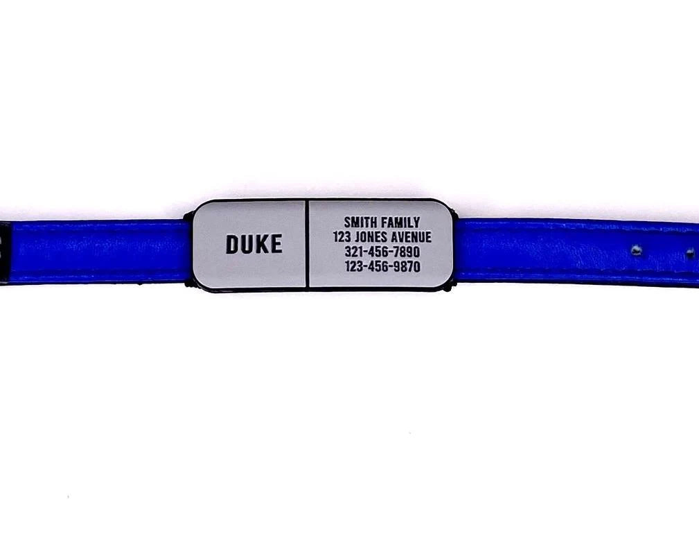 Slide-On Pet ID Tag