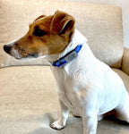 Slide-On Pet ID Tag