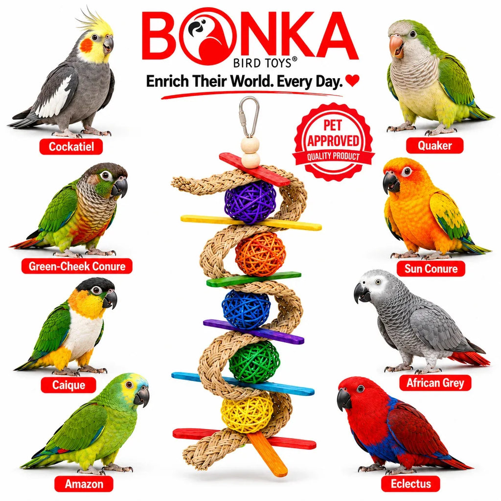 Small Bird Chew Toy