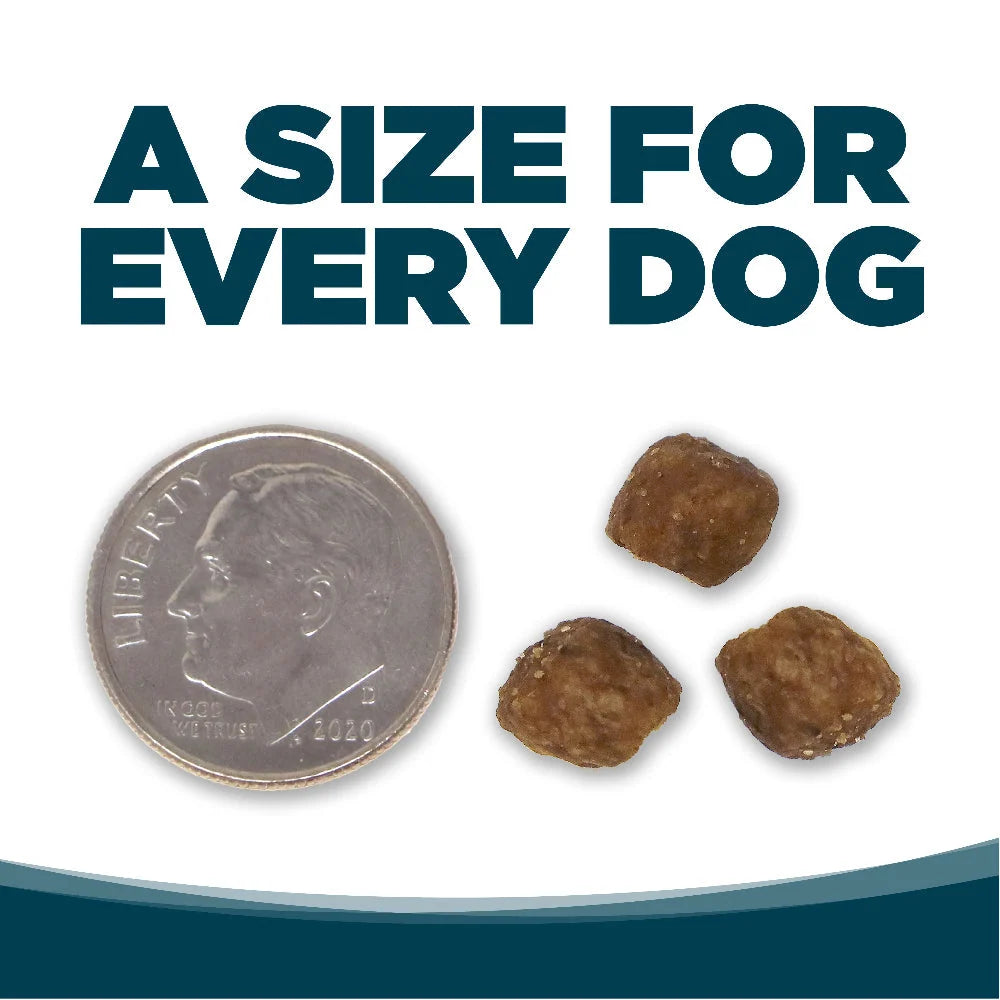 Small Bites Chicken & Rice Dry Dog Food