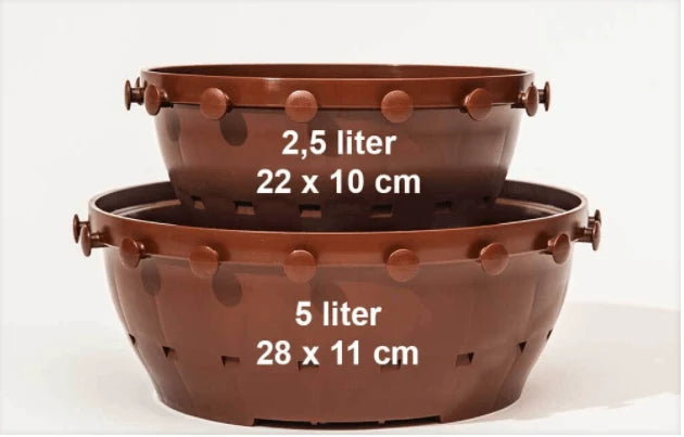 Small Bonsai Pot with Tie Knobs, Root-Directing Grooves, Air-Pruning Slots and 2.5-Liter Capacity