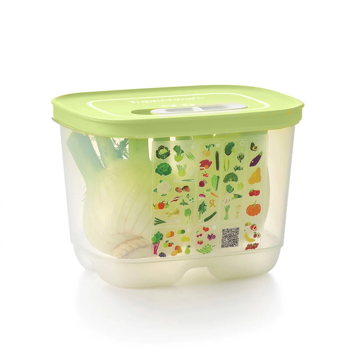Small Deep Produce Storage Container, Celery