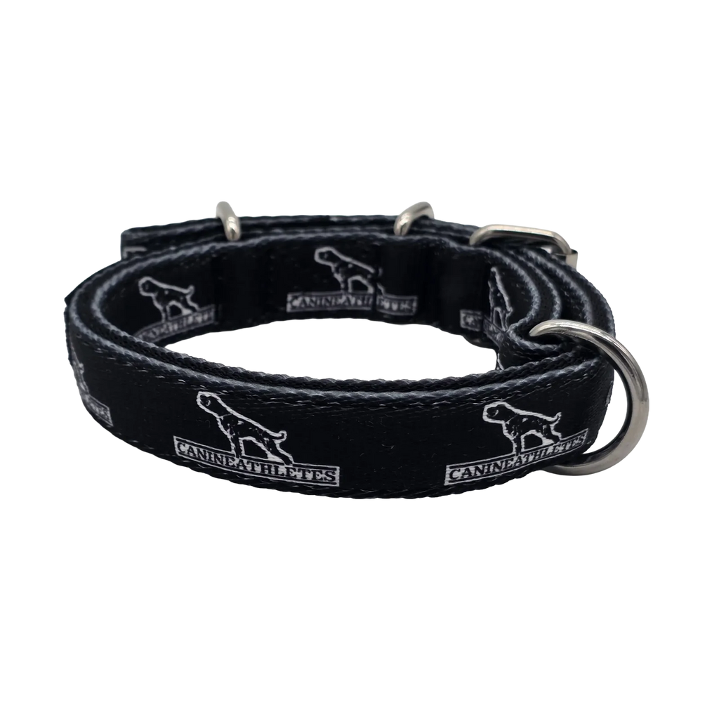 Small Dog Collar