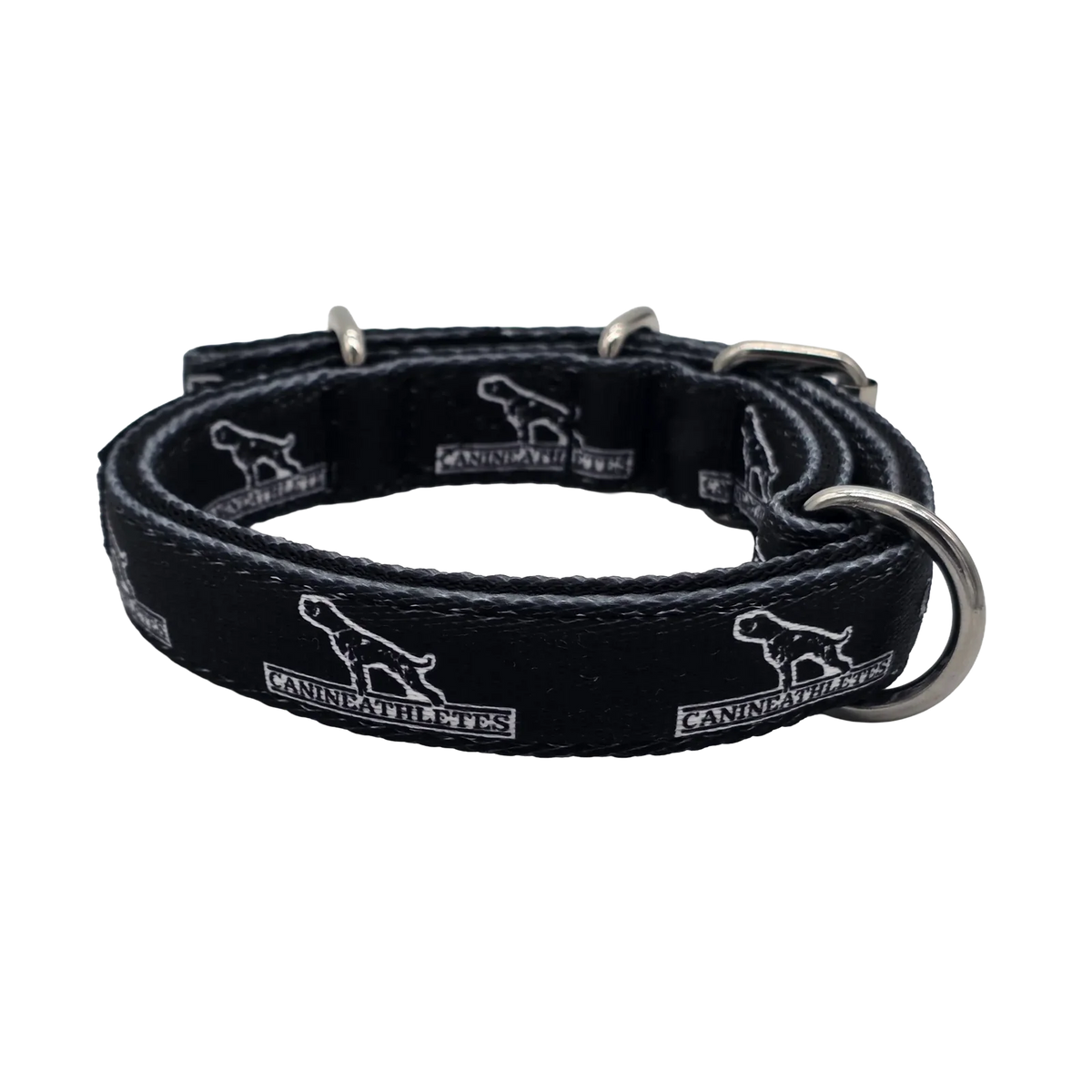 Small Dog Collar