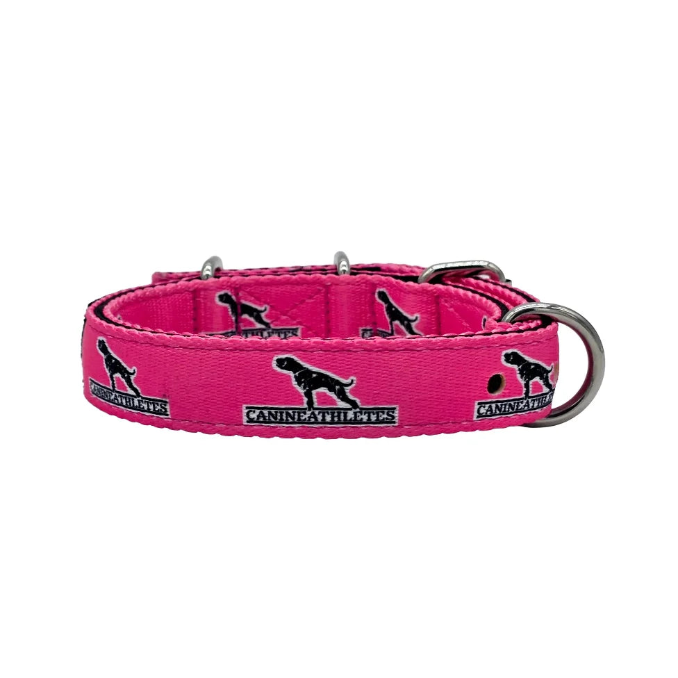 Small Dog Collar