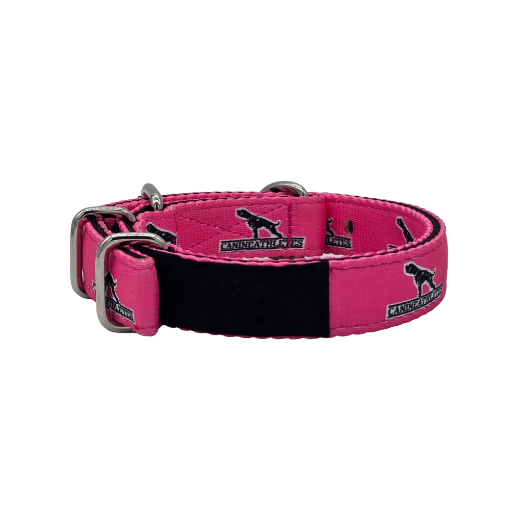 Small Dog Collar