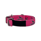 Small Dog Collar