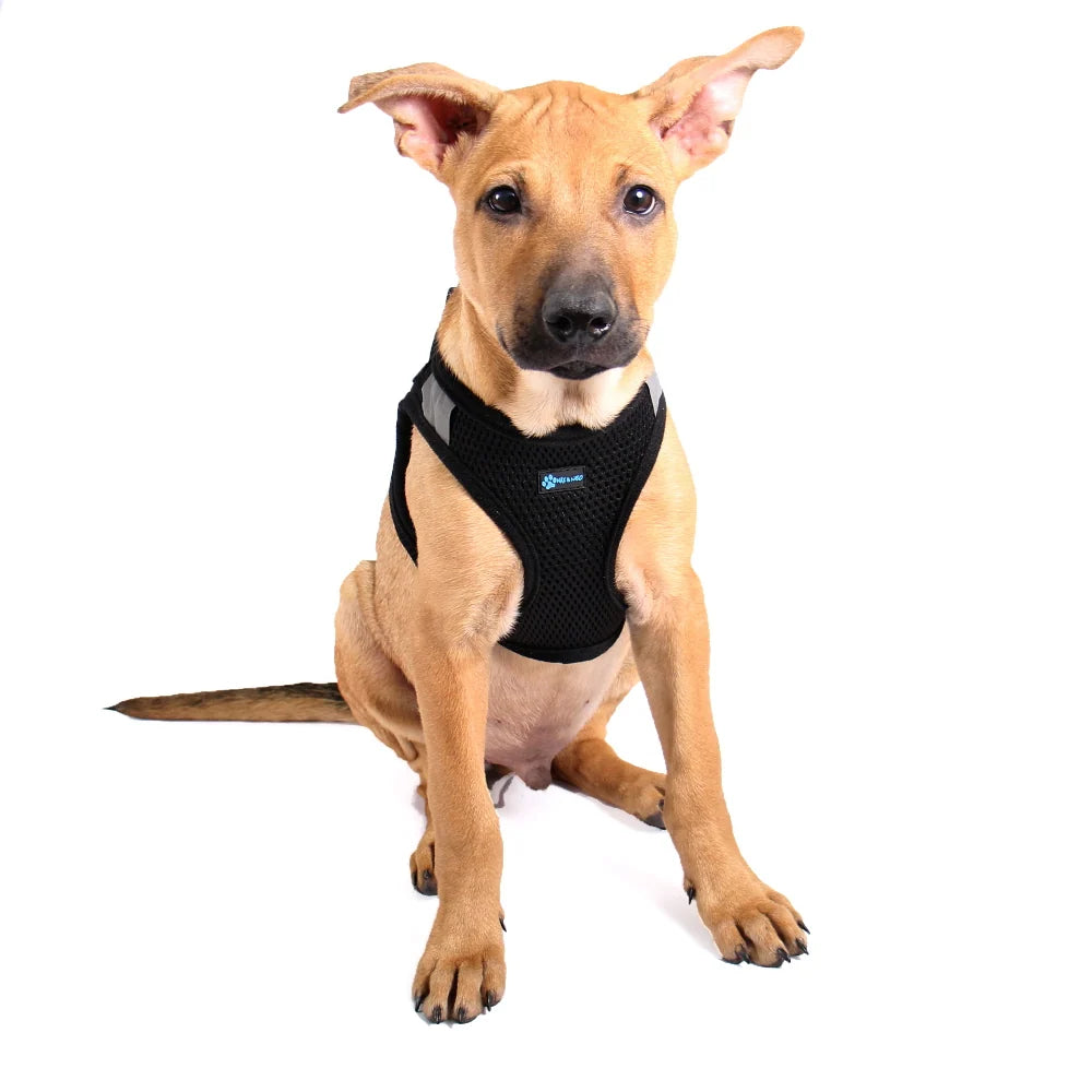 Small Dog Harness with Reflective Bands, Breathable Design, Secure Velcro Closure and Double D-Rings