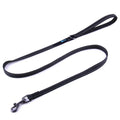 Small Dog Leash in 4 ft Nylon Webbing with a Padded Handle and Reflective Stitching on Both Sides — Black