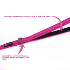 Small Dog Leash in 4 ft Nylon Webbing with a Padded Handle and Reflective Stitching on Both Sides