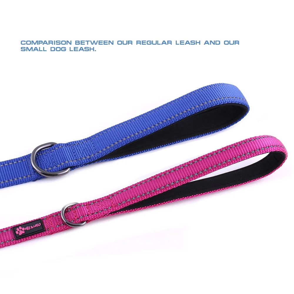 Small Dog Leash in 4 ft Nylon Webbing with a Padded Handle and Reflective Stitching on Both Sides