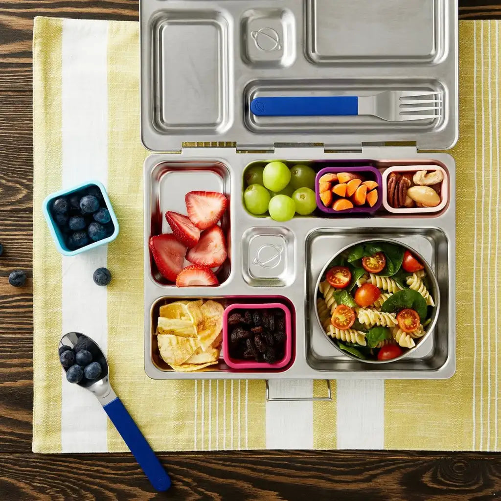 Snack Container Pods in a 4-Pack for Rover and Explorer to Keep Fruit and Vegetables Separate