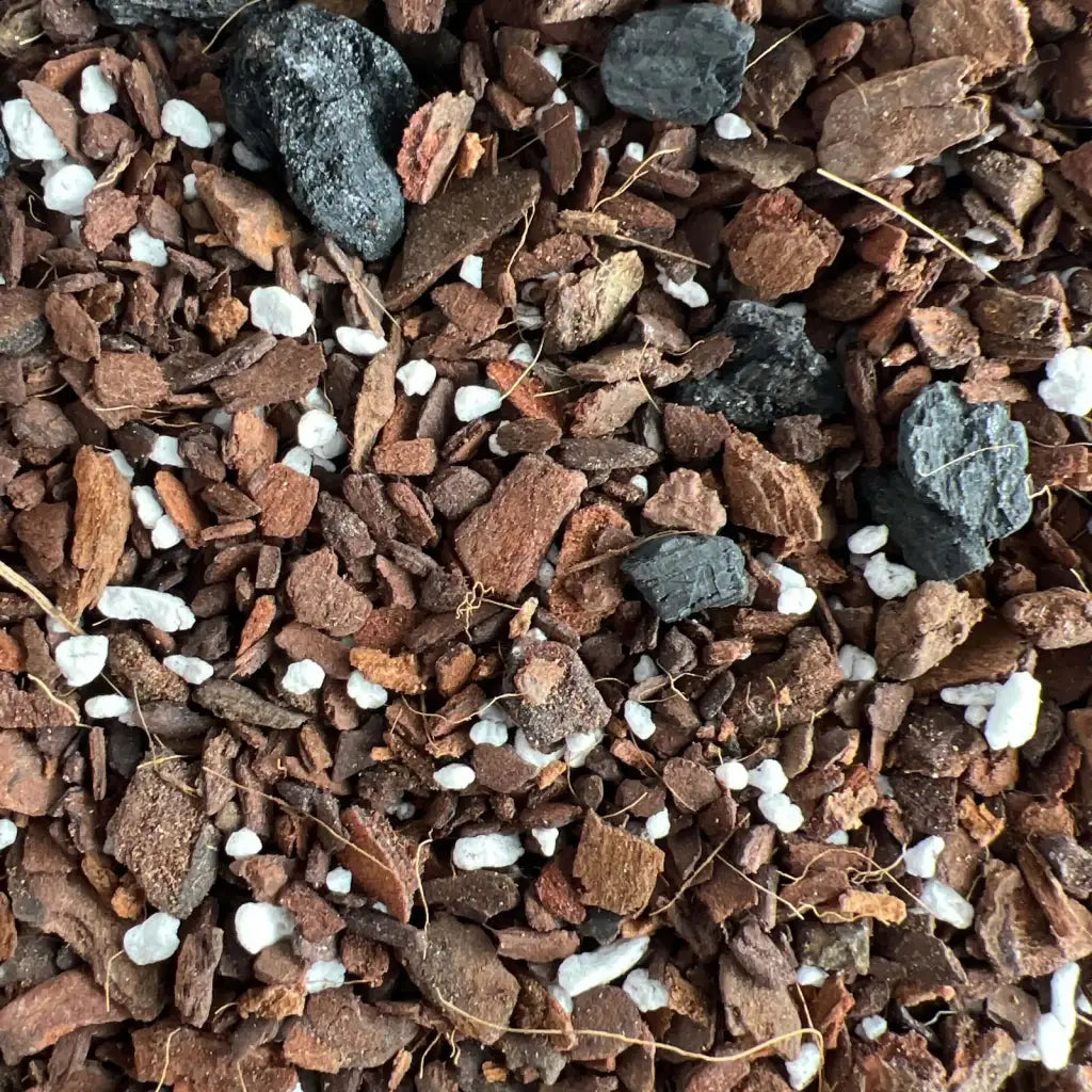 Snake Plant Potting Soil Mix