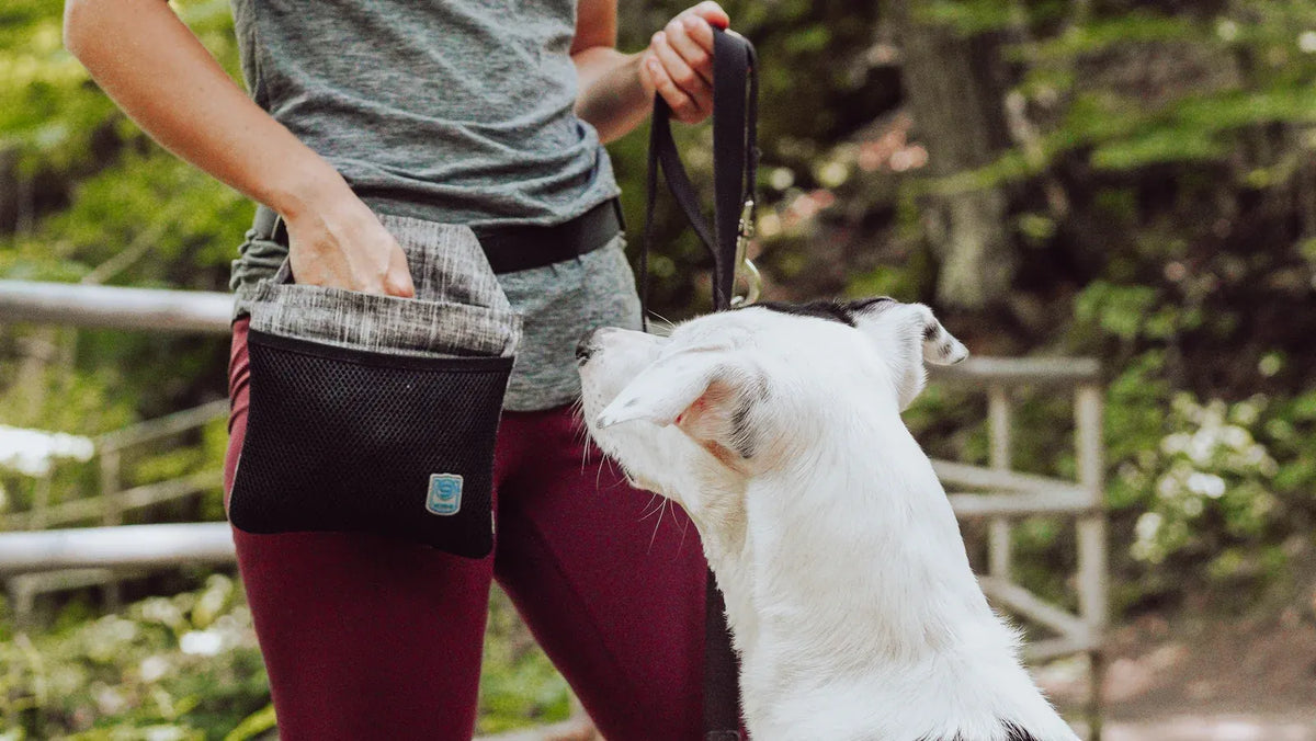 Snap-Back Dog Training Treat Pouch