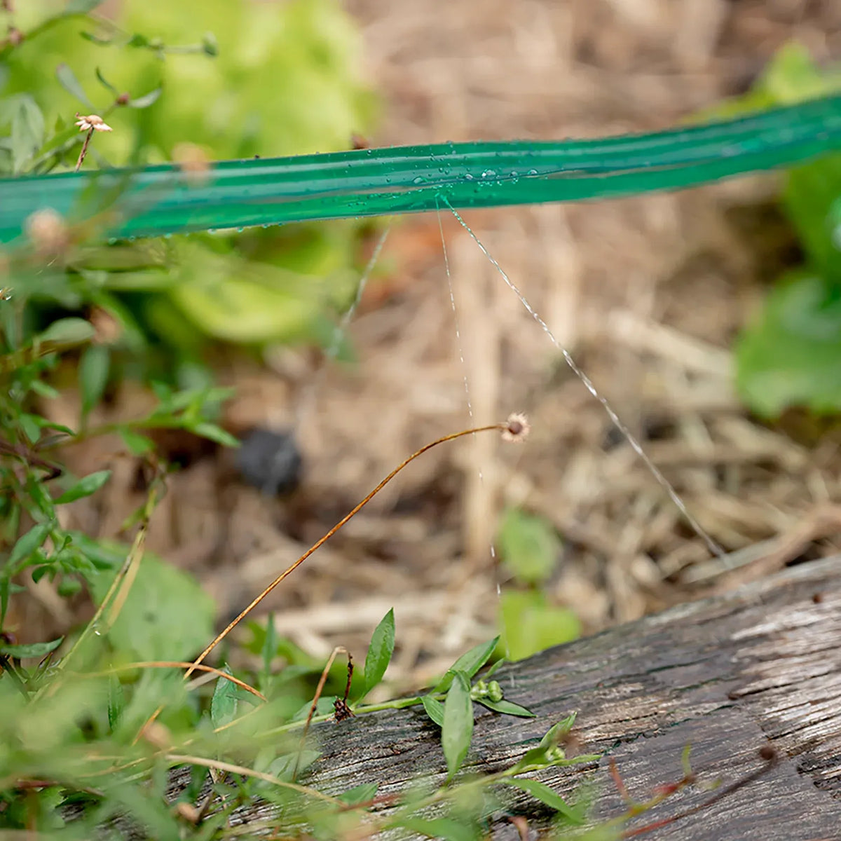 Soaker Hose