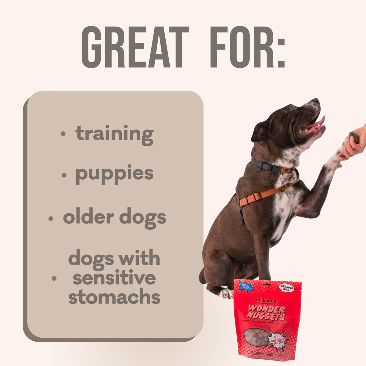 Soft and Chewy Sweet Potato Dog Treats