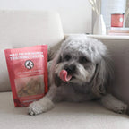 Soft Dog Training Treats, 170g Biscuit-Style Rewards