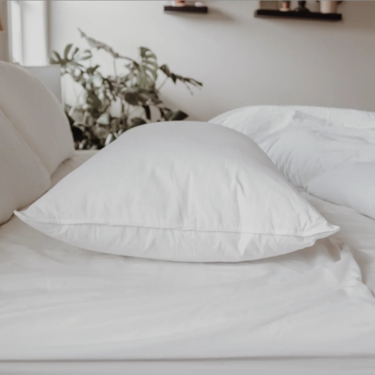 Soft Down and Feather Pillow
